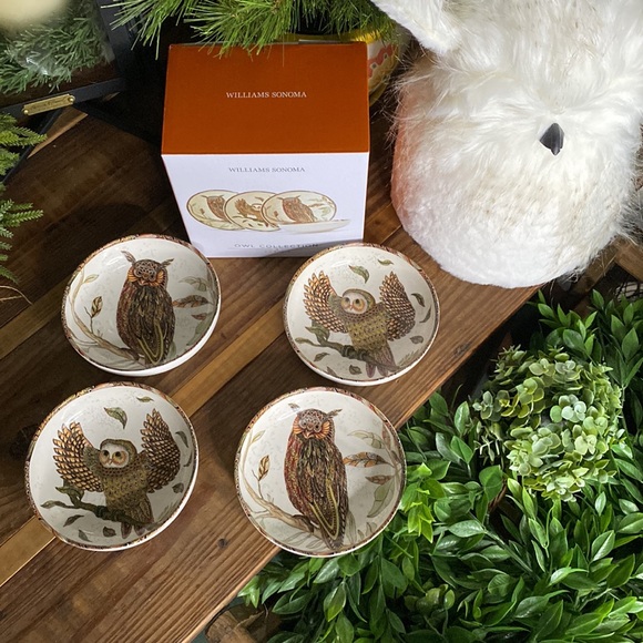Williams Sonoma Vividly Colored Set of Four Owl Dipping Bowls 🦉 - Picture 4 of 17